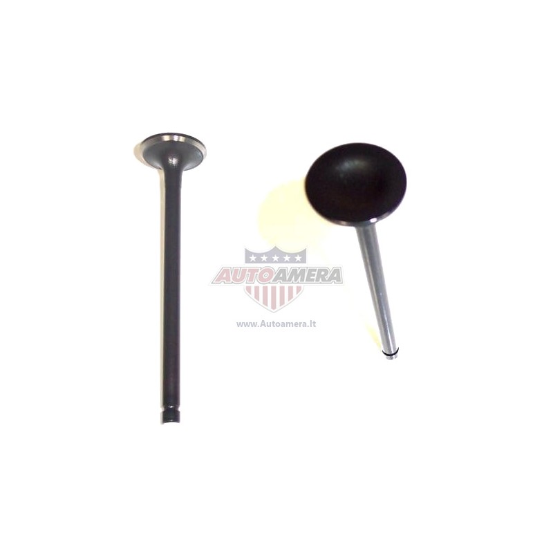 INTAKE VALVE