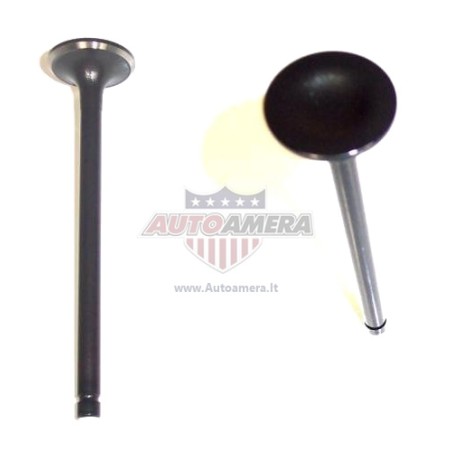 INTAKE VALVE