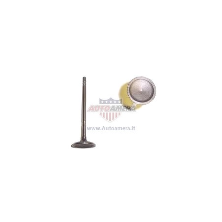 INTAKE VALVE