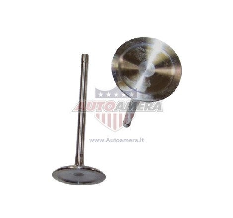 INTAKE VALVE