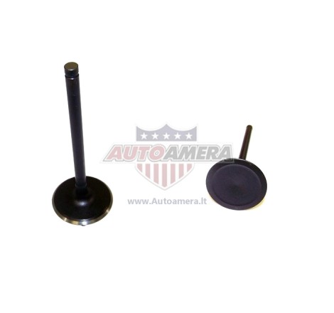 INTAKE VALVE