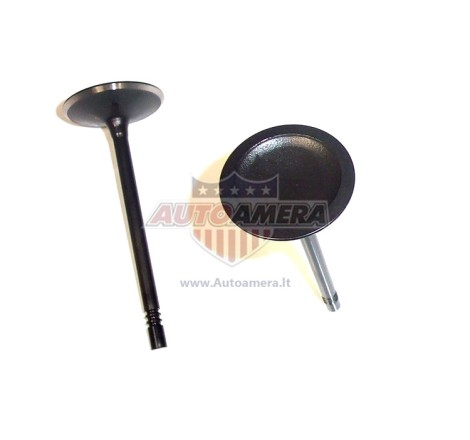 INTAKE VALVE