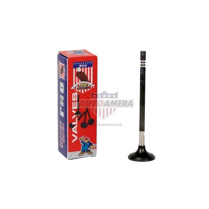EXHAUST VALVE