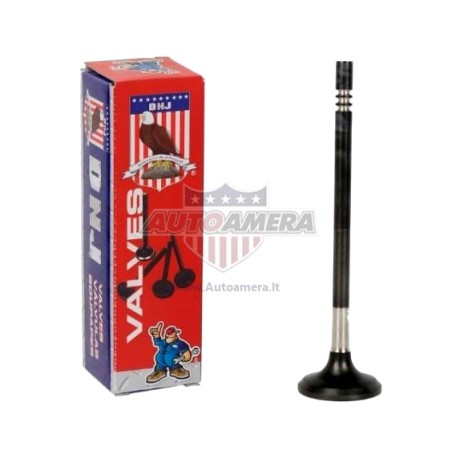 EXHAUST VALVE