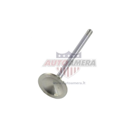 EXHAUST VALVE