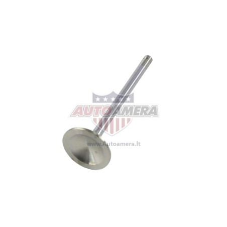 EXHAUST VALVE