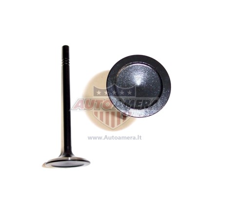 Exhaust valve