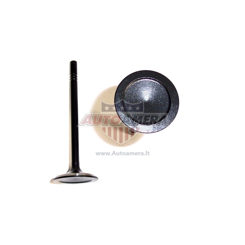 Exhaust valve
