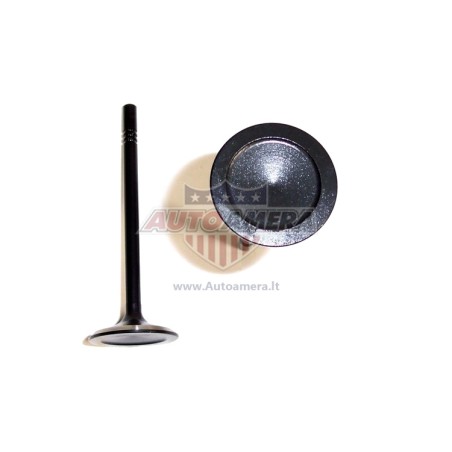 Exhaust valve