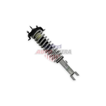 McPHERSON COLUMN (SHOCK ABSORBER, COIL SPRING, MOUNTS) - REAR