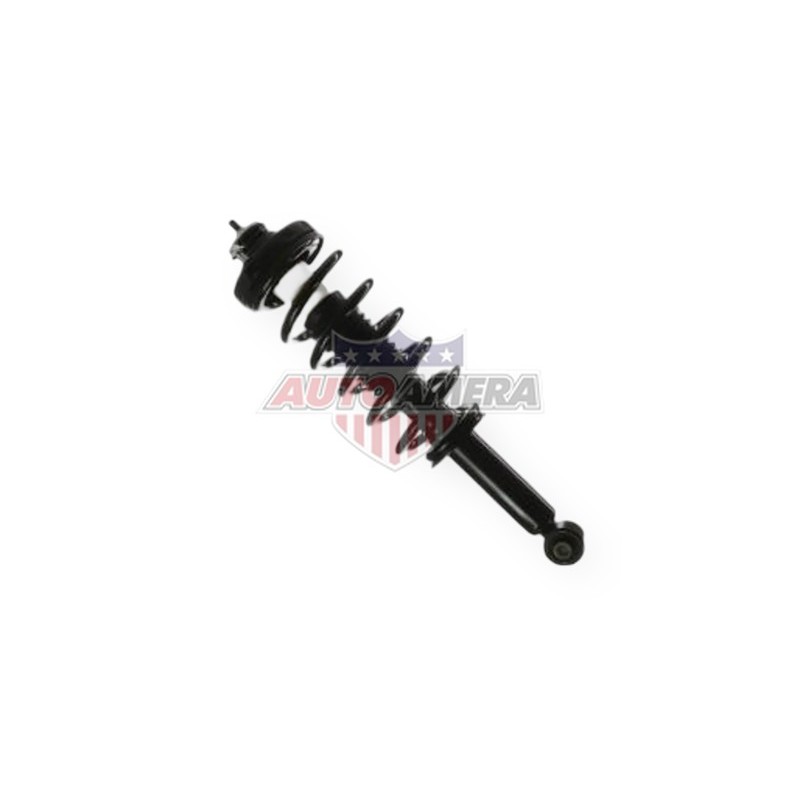 McPHERSON COLUMN (SHOCK ABSORBER, COIL SPRING, MOUNTS) - REAR