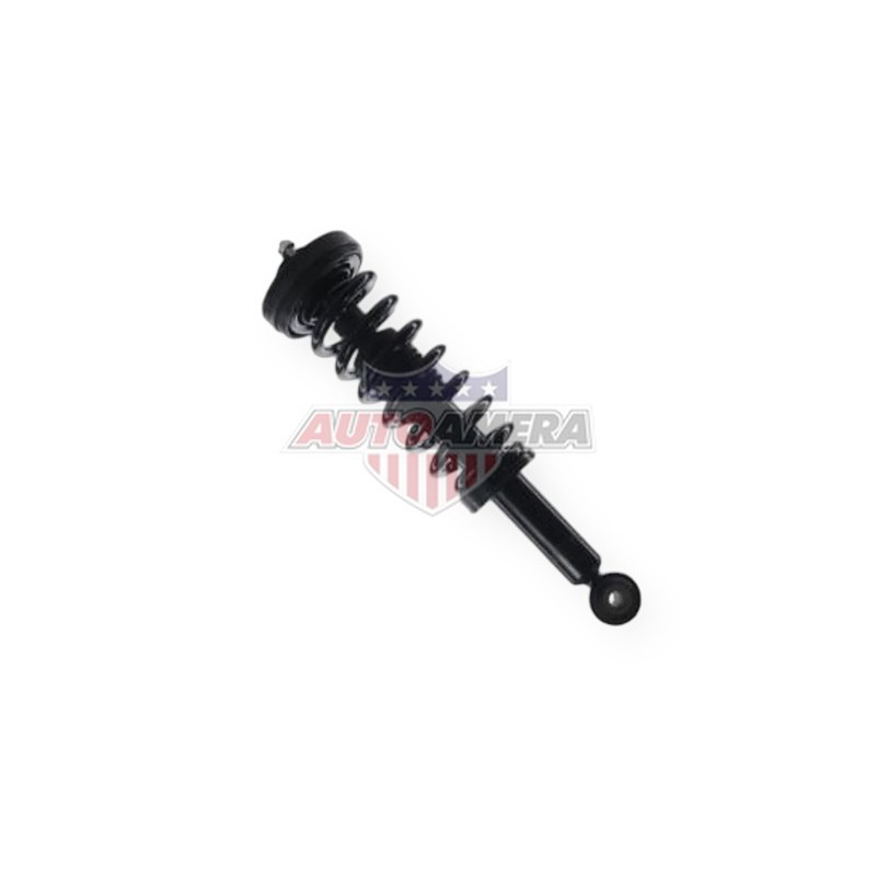 McPHERSON COLUMN (SHOCK ABSORBER, COIL SPRING, MOUNTS) - FRONT