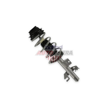 McPHERSON COLUMN (SHOCK ABSORBER, COIL SPRING, MOUNTS) - FRONT