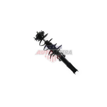 McPHERSON COLUMN (SHOCK ABSORBER, COIL SPRING, MOUNTS) - FRONT