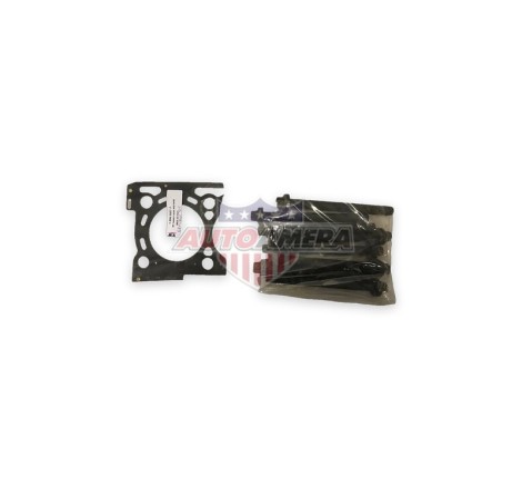 HEAD GASKET W/ BOLTS