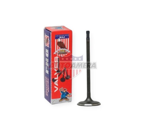 INTAKE VALVE