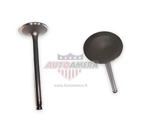 INTAKE VALVE