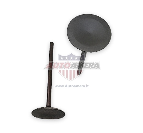 INTAKE VALVE