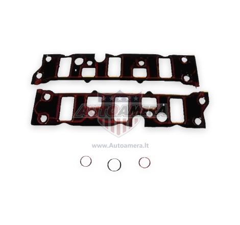 MANIFOLD GASKET SET - INTAKE