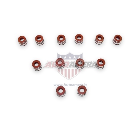 VALVE STEM SEAL SET