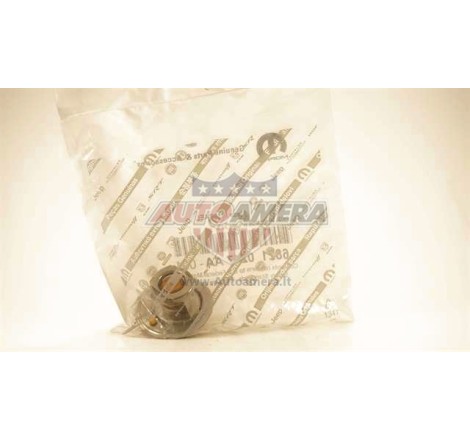 TERMOSTATAS 01- VOJ. PACIF. 3.3L, 3.5L, 3.8 14789