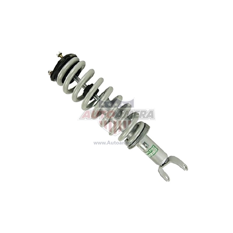 McPHERSON COLUMN (SHOCK ABSORBER, COIL SPRING, MOUNTS) - FRONT