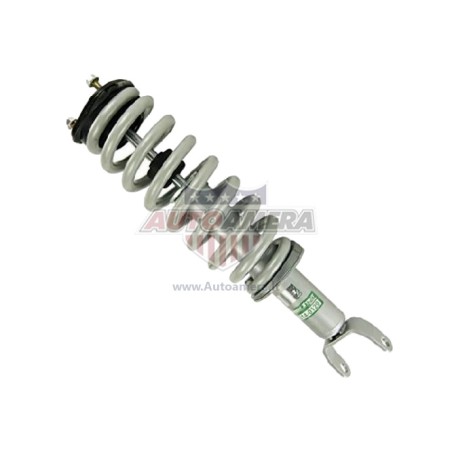 McPHERSON COLUMN (SHOCK ABSORBER, COIL SPRING, MOUNTS) - FRONT
