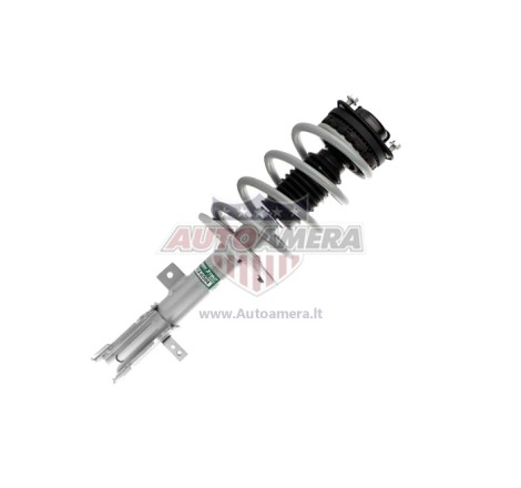McPHERSON COLUMN (SHOCK ABSORBER, COIL SPRING, MOUNTS) - FRONT