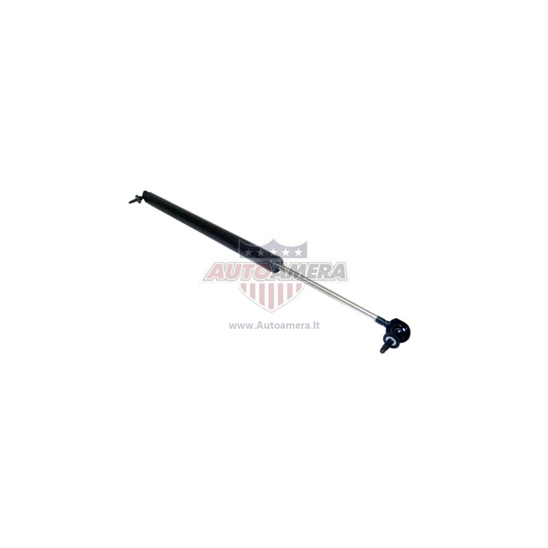 TAILGATE SUPPORT STRUT