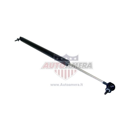 TAILGATE SUPPORT STRUT