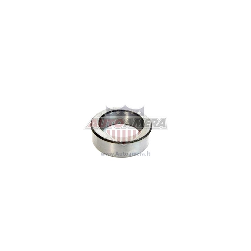 Galinis rato guolis