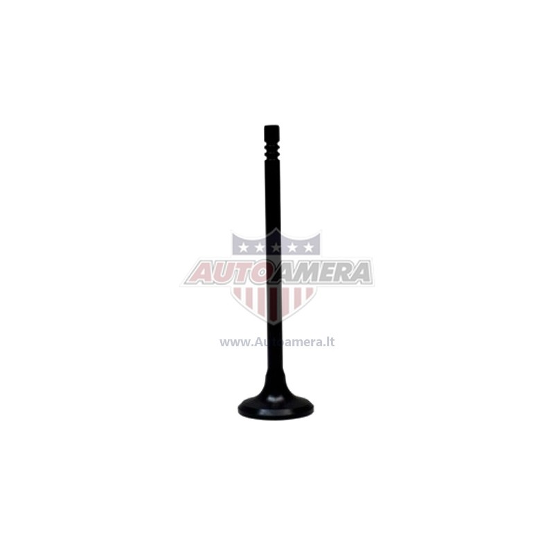 EXHAUST VALVE
