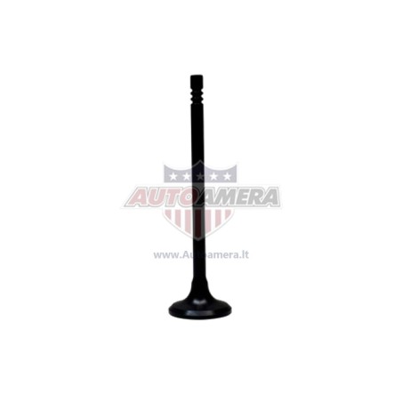EXHAUST VALVE