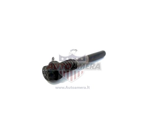 Diferencialo ašies kaištis