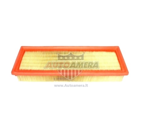 Oro filtras