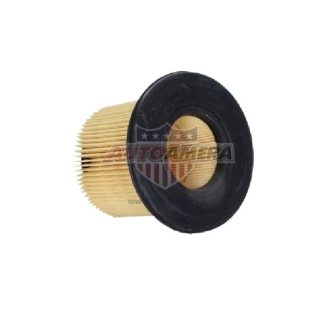 Oro filtras