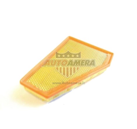 Oro filtras