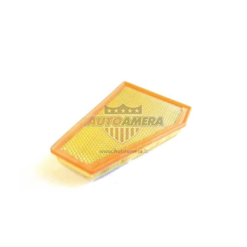 Oro filtras