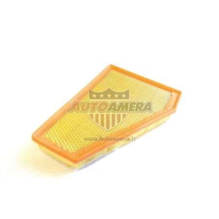 Oro filtras