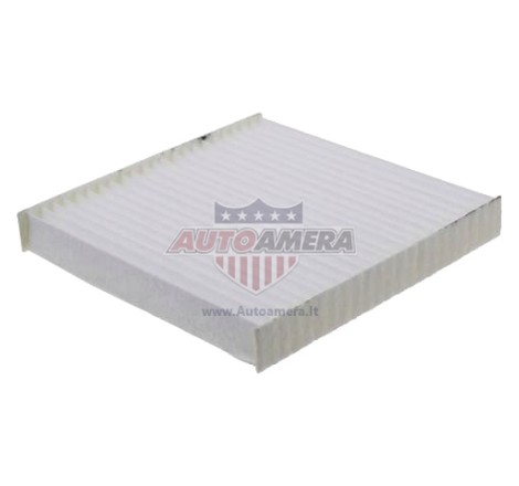 Salono oro filtras