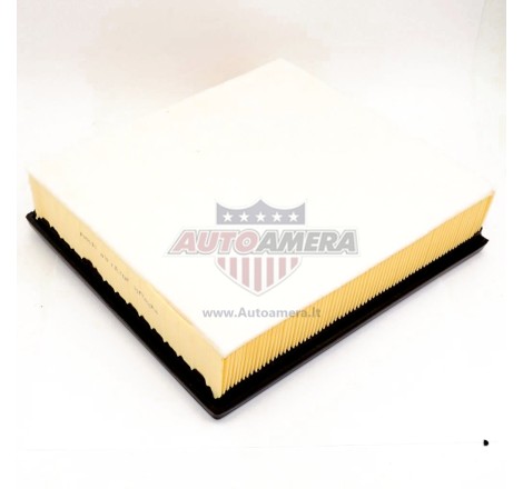Oro filtras