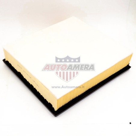 Oro filtras
