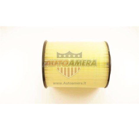 Oro filtras