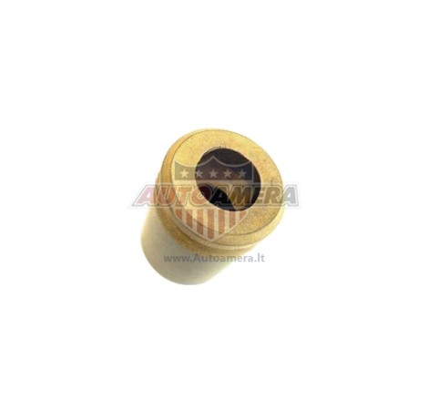 Stabdžių apkabos stūmoklis