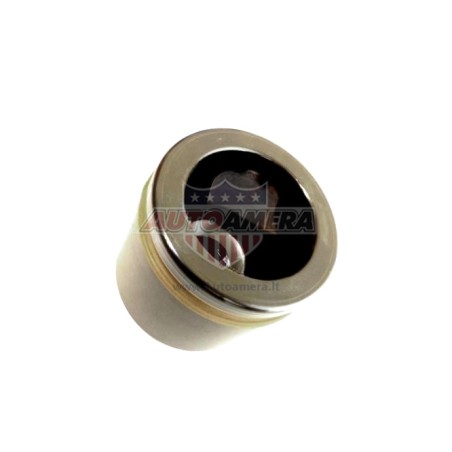 BRAKE CALIPER PISTON