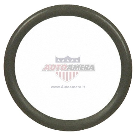 DISTRIBUTOR TUBE GASKET