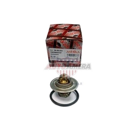 THERMOSTAT