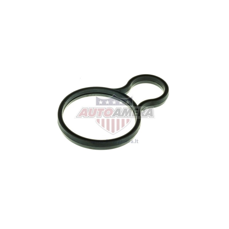 THERMOSTAT SEAL