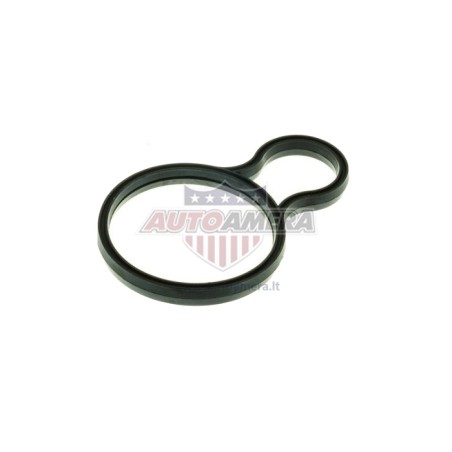 THERMOSTAT SEAL