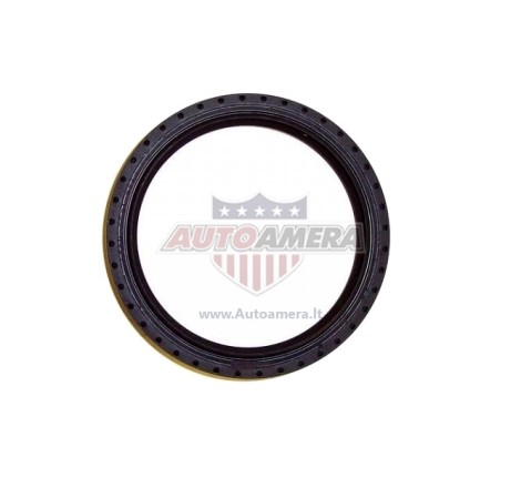 Crankshaft seal - rear